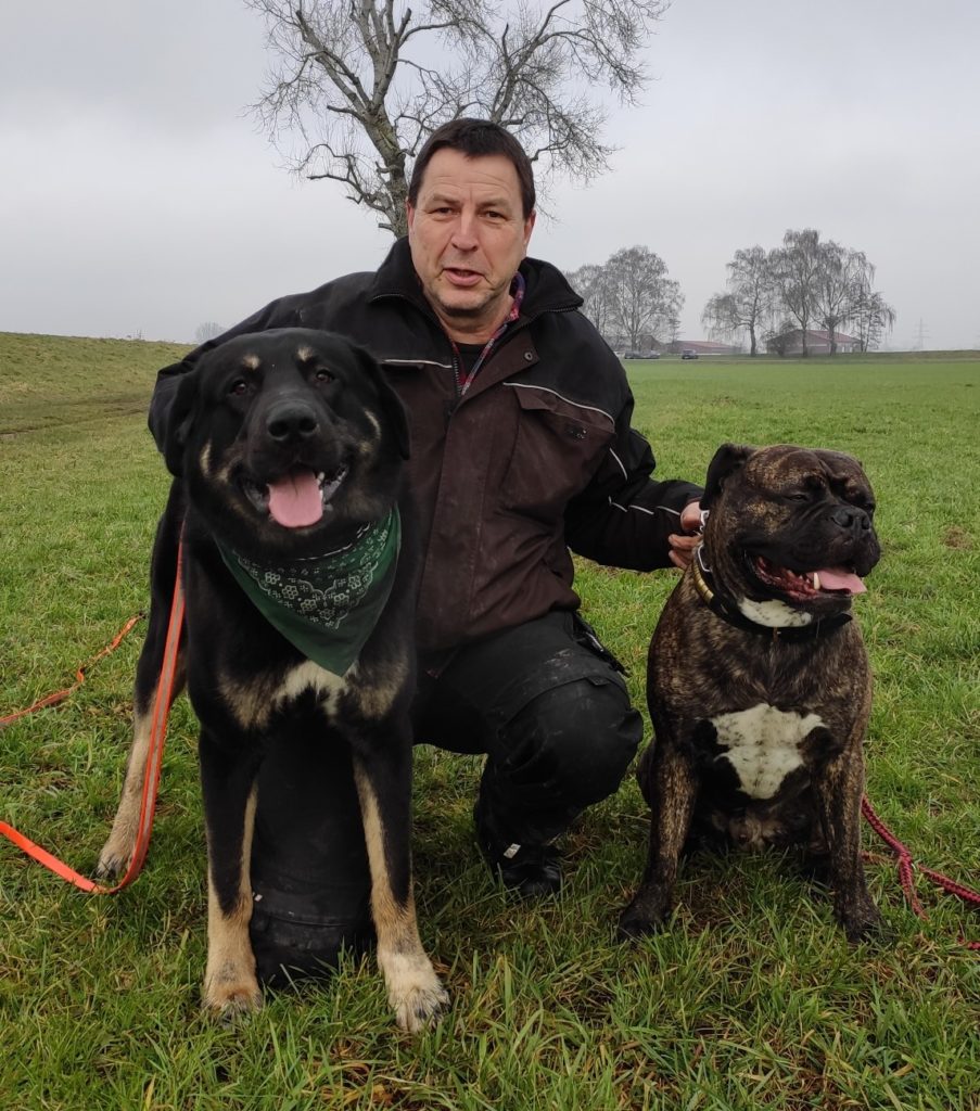 Thorsten Lapsit - Mastiff Tag Hundetrainer mit Herz Thorsten Lapsit mit zwei Hunden beim Training