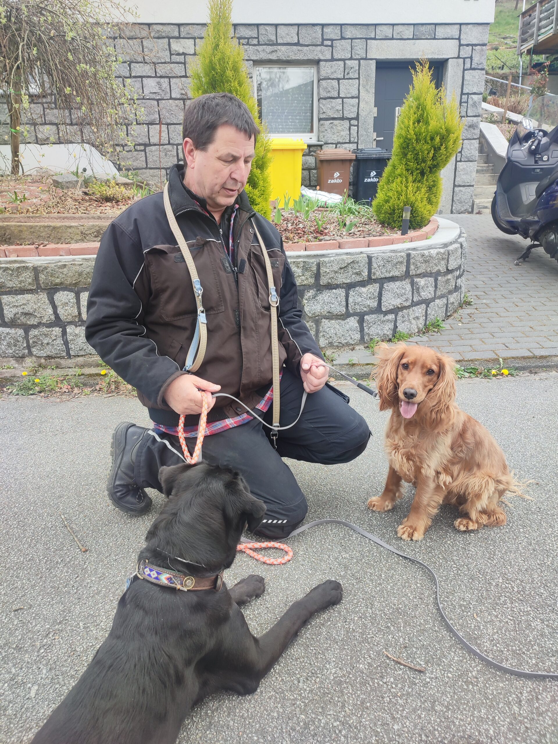 Thorsten Lapsit – Hundetrainer im Einsatz