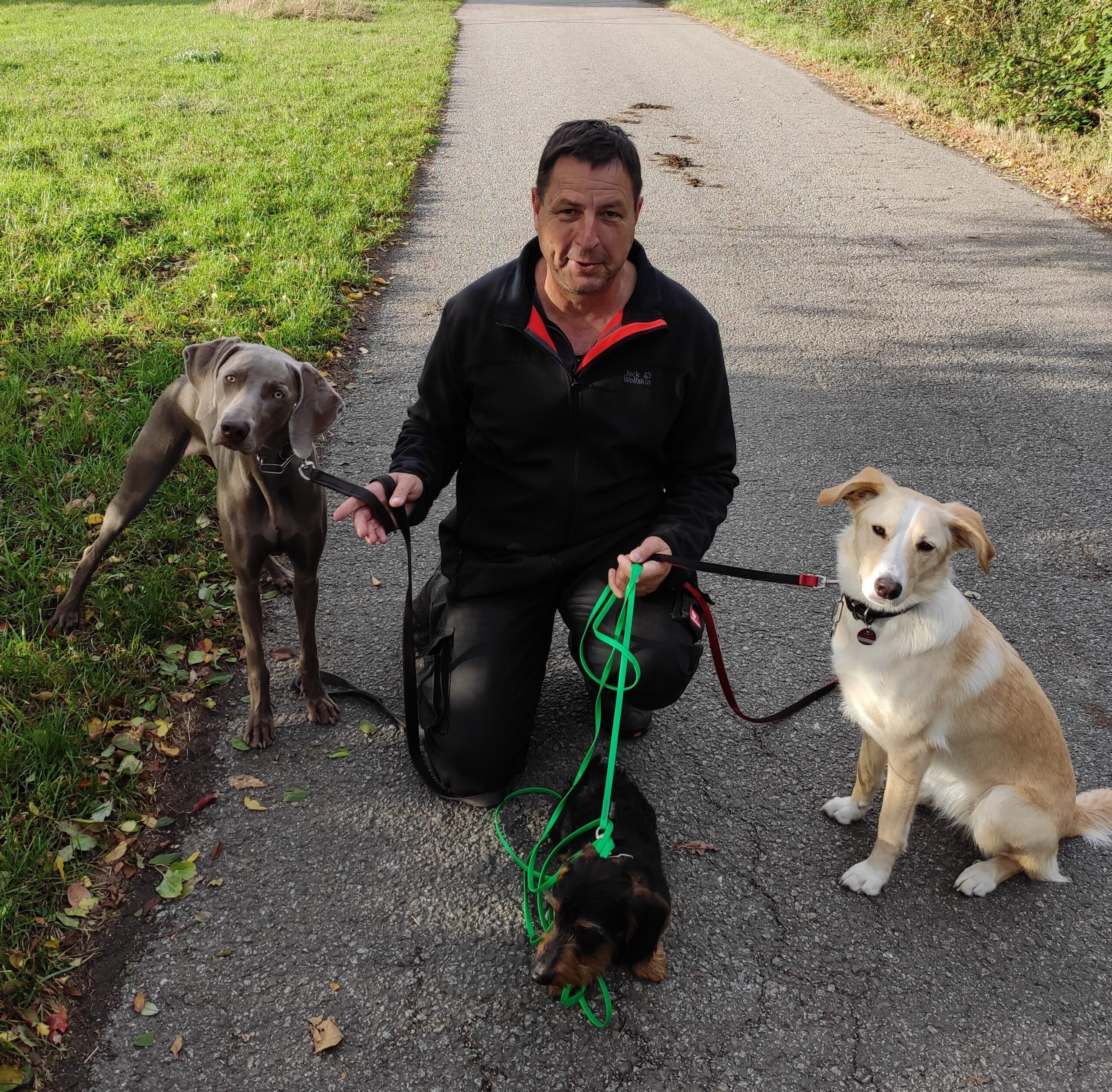 Hundetrainer mit zwei Hunden