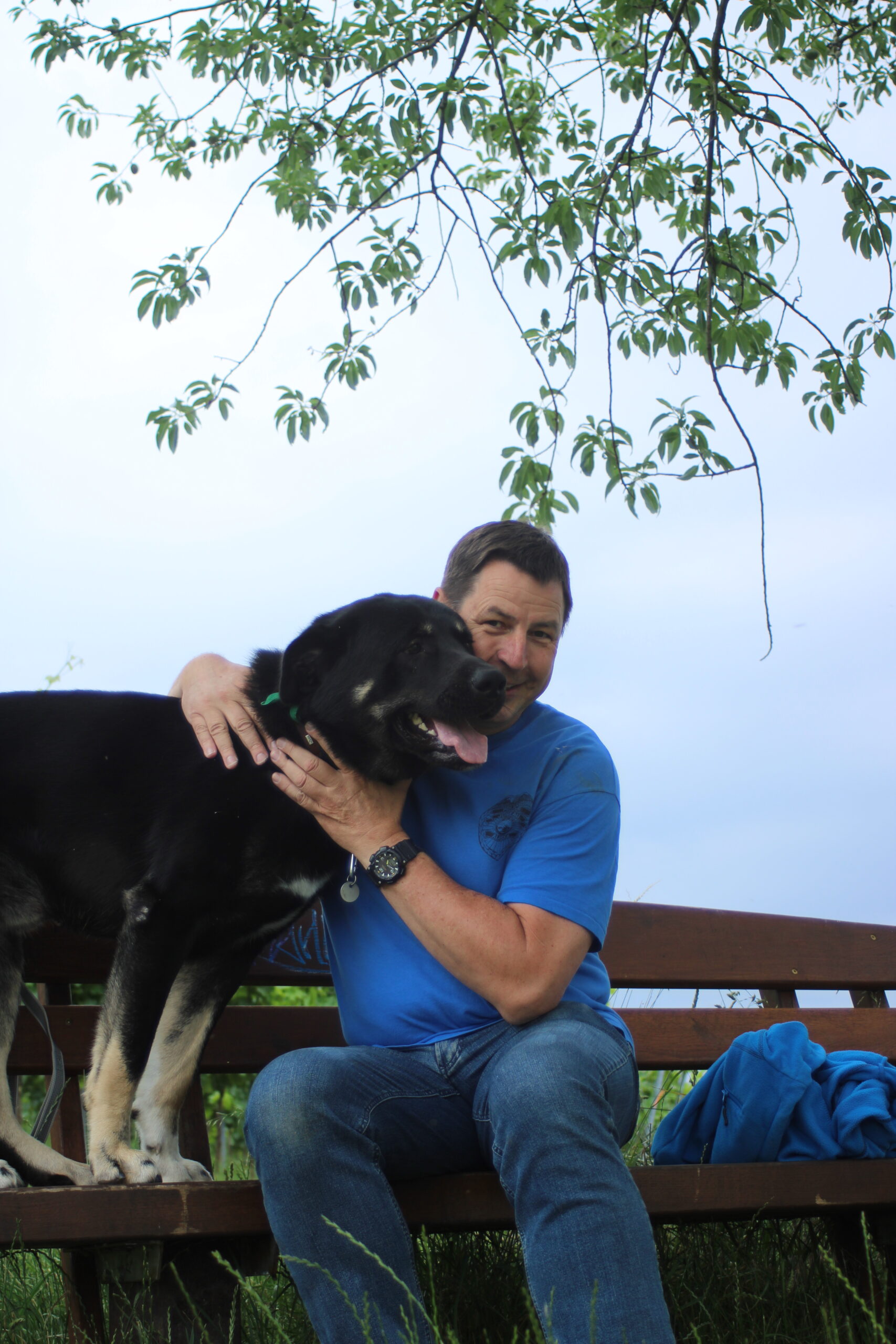 Hundetraining im Garten