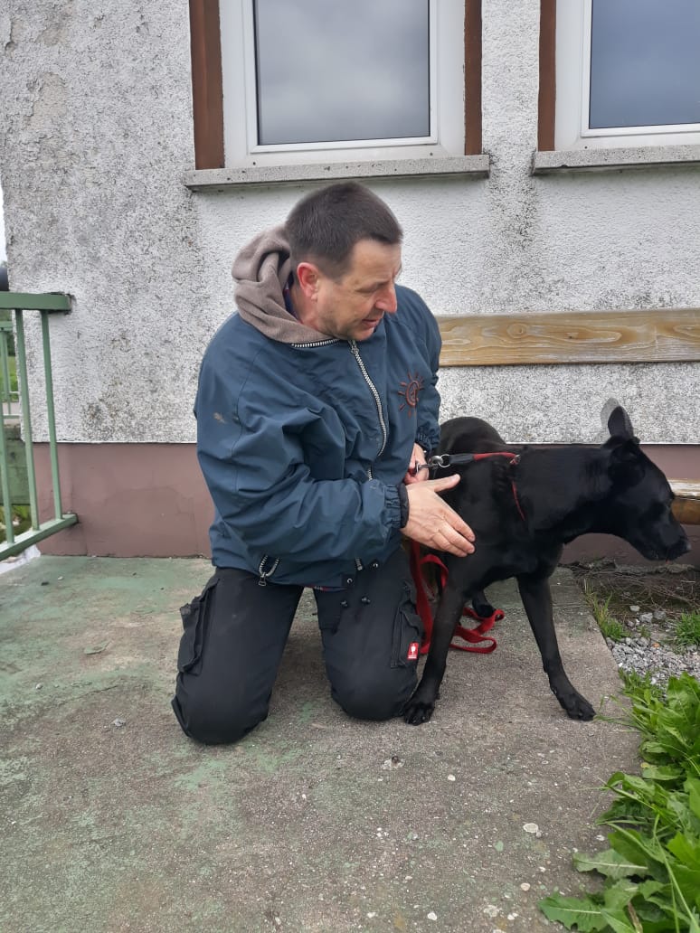 Thorsten Lapsit und Tierschutzhund Puma