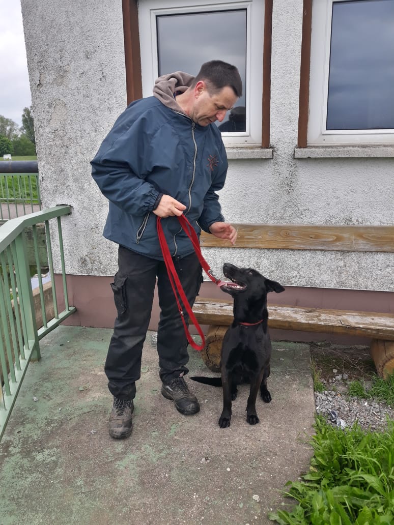 Thorsten Lapsit und Tierschutzhund Puma