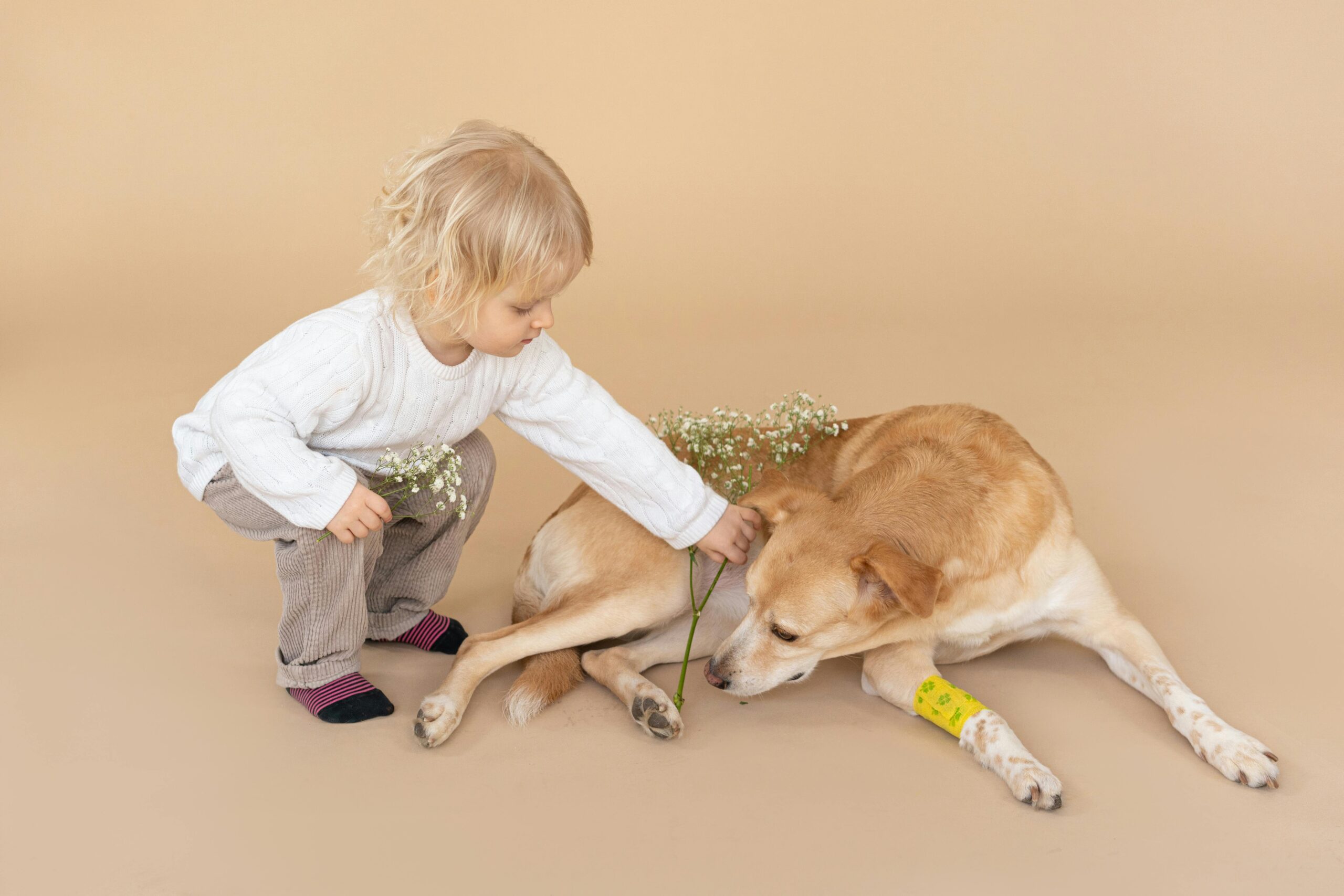 Kind und Hund 1