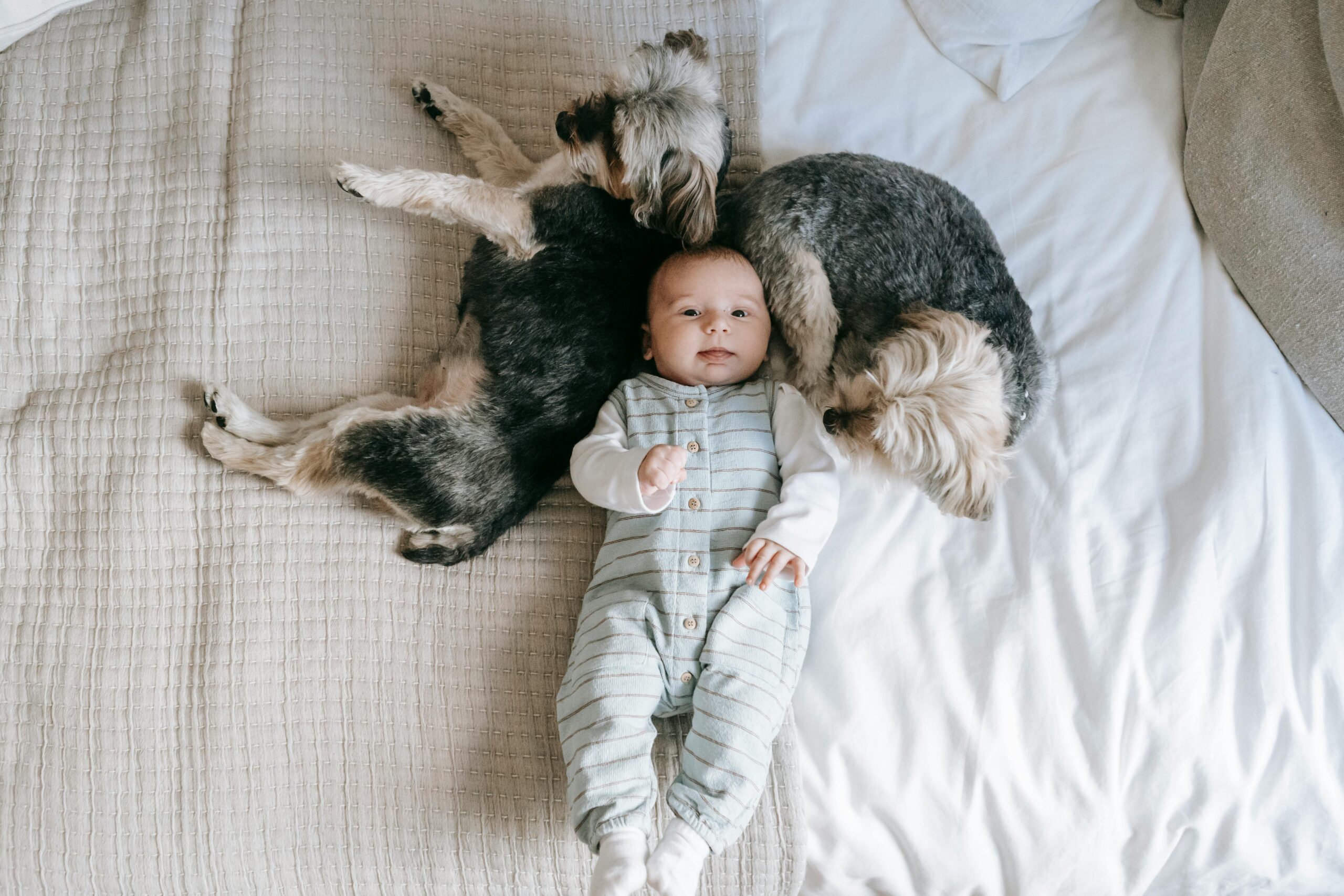 Familie mit Hund